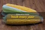 Does Corn Regrow Every Year