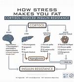 Does Cortisol Cause Weight Gain?