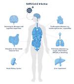 Does Covid Cause Ed?