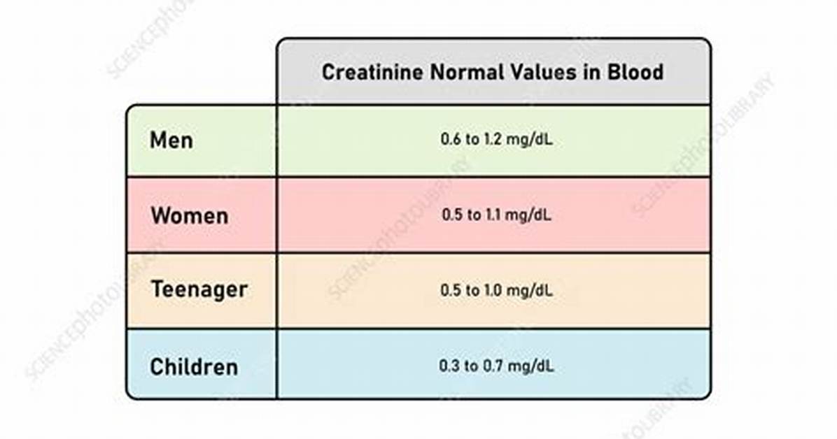 Does Creatinine Increase with Age?