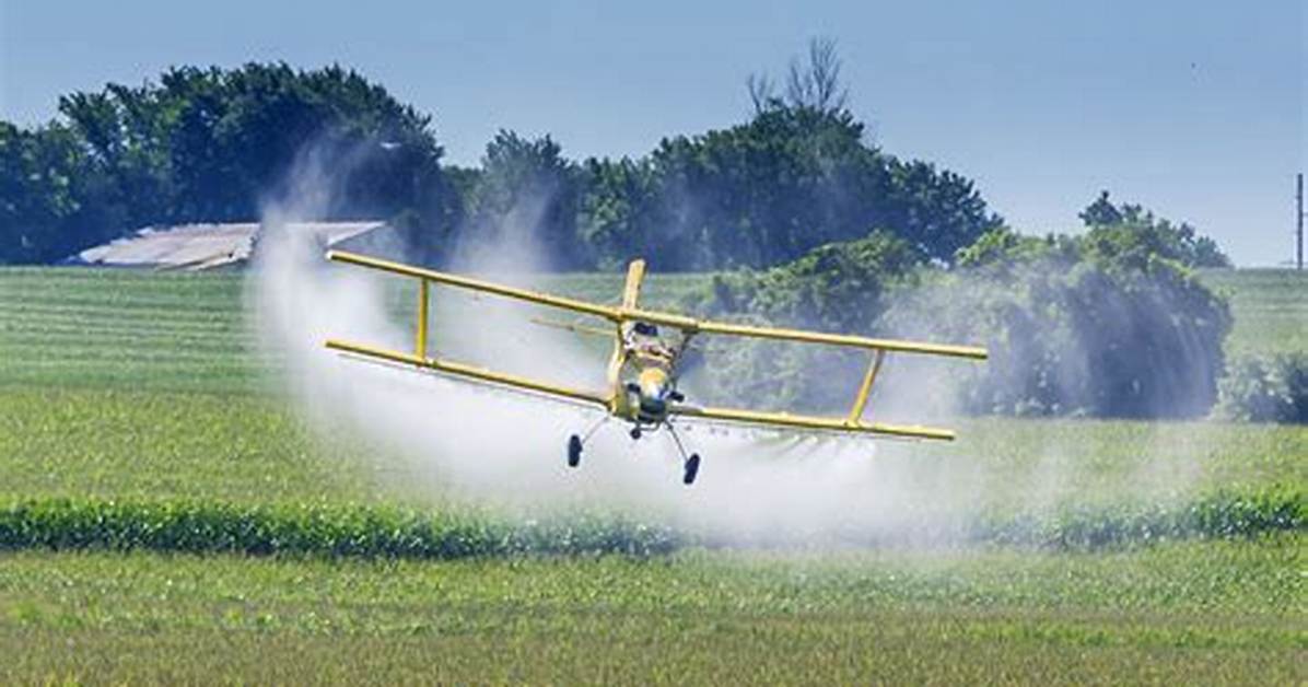 Does Crop Dust Mean?