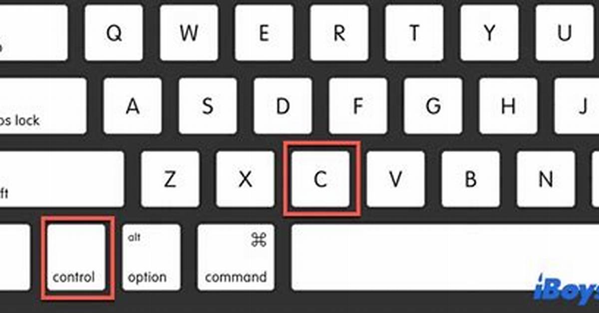 Does Ctrl C Work on Mac?