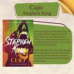Does Cujo Have Chapters?