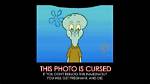 Does Curst Mean Cursed?
