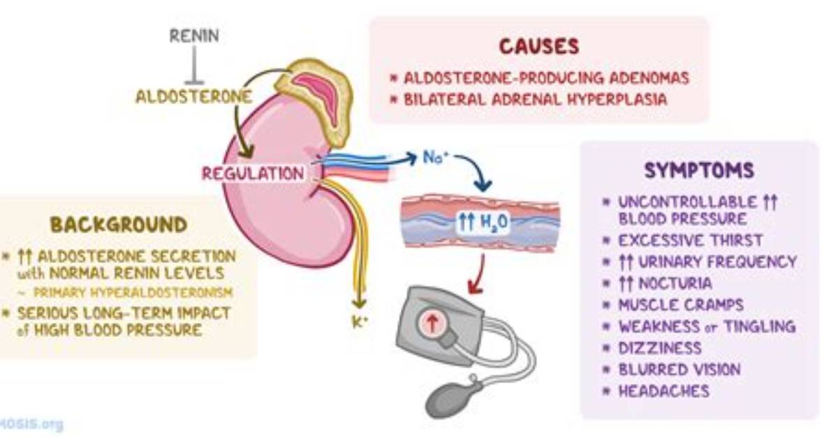 Does Cushing's Cause Hyperaldosteronism?