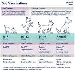 Does Da2Pp Include Rabies