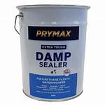 Does Damp Seal Paint Work