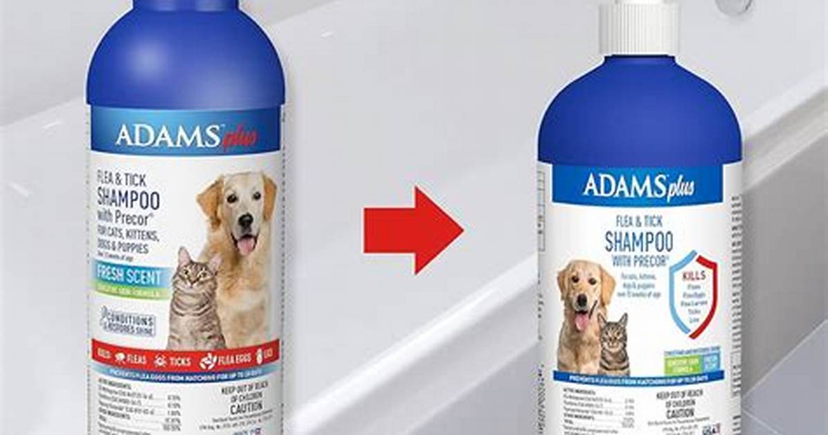 Does Dawn Kill Lice?
