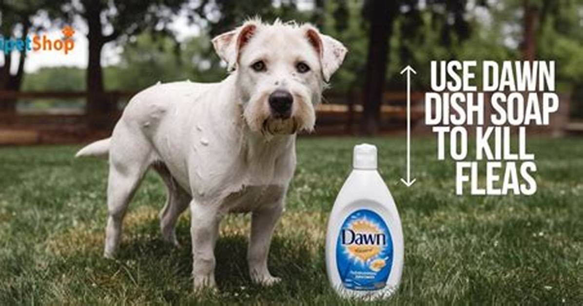 Does Dawn Soap Kill Fleas