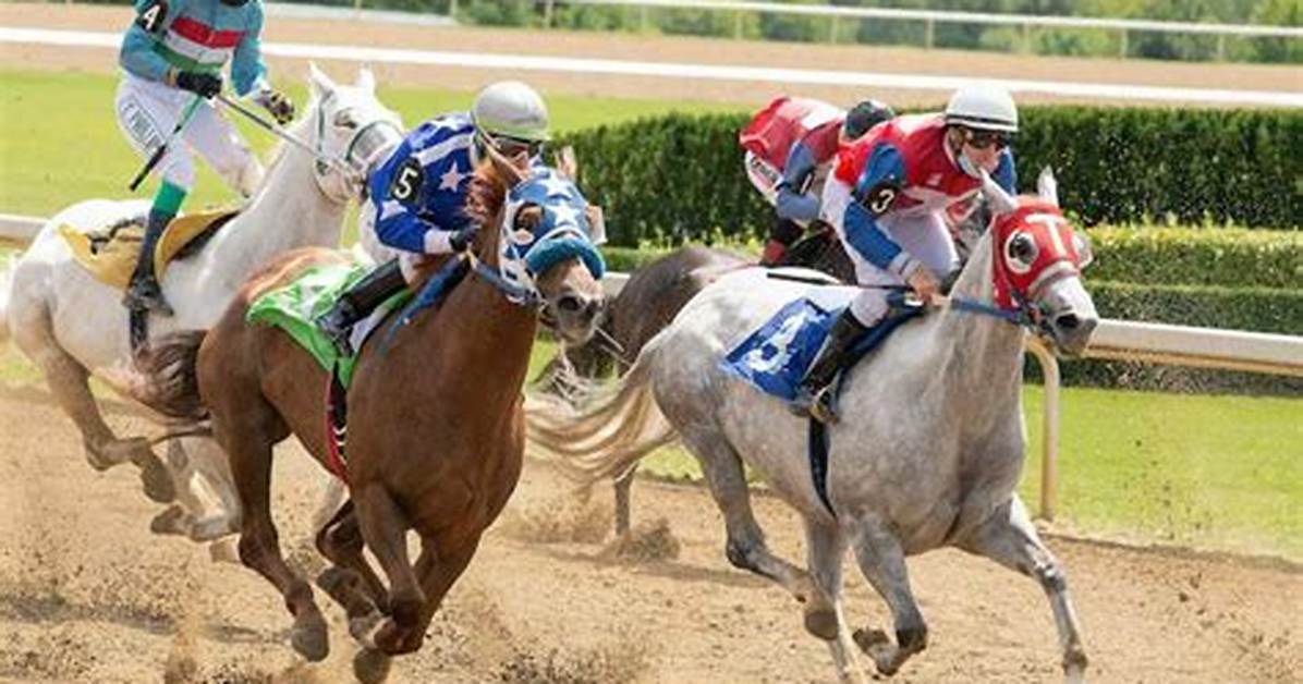Does Dead Heat Mean?