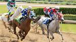 Does Dead Heat Mean?