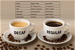 Does Decaf Coffee Have Catechols?
