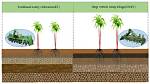 Does Deep Tillage Pay?