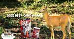 Does Deer Attractants Work?