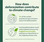 Does Deforestation Cause Climate Change?