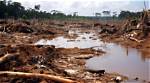 Does Deforestation Cause Flooding?
