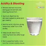 Does Degas Help with Bloating?