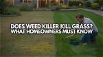 Does Degreaser Kill Grass?