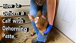 Does Dehorning Paste Work?