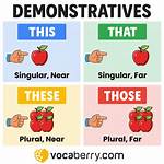 Does Demonstrative Adjective Mean?