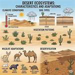 Does Desert Have 2 S?