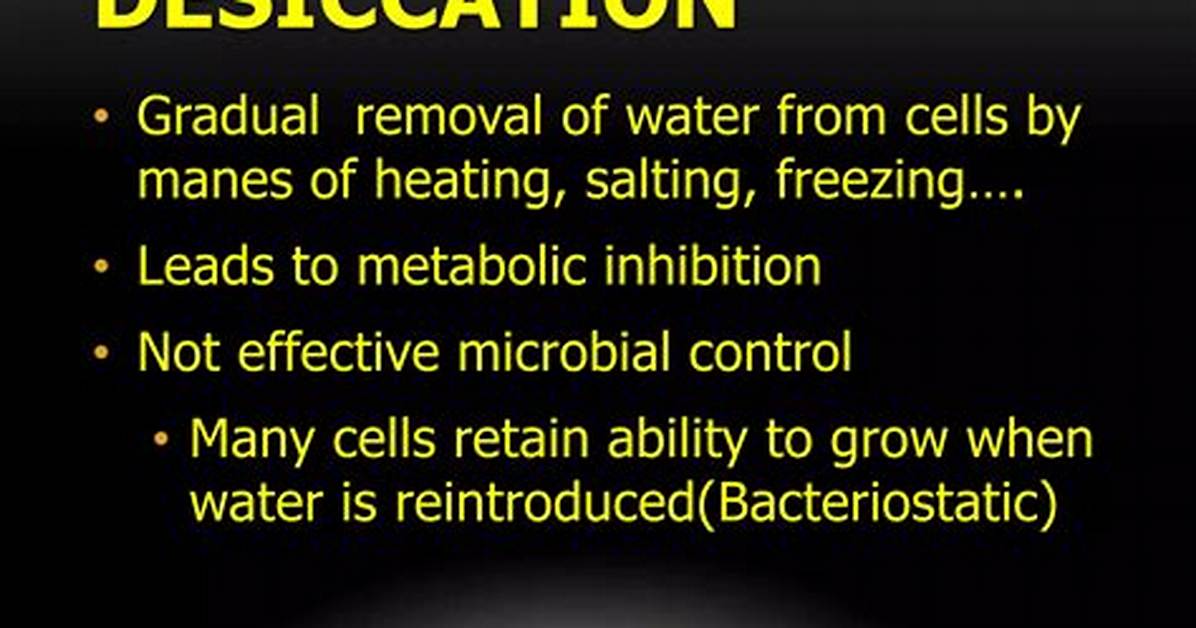 Does Desiccation Kill Bacteria?