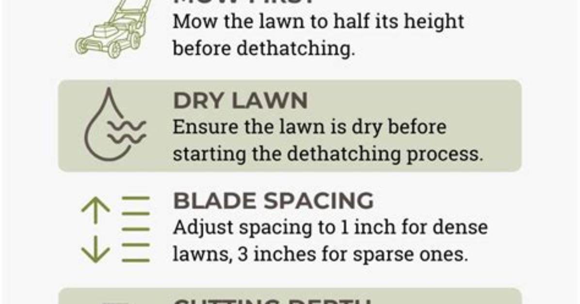 Does Dethatching Help Your Lawn?