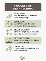 Does Dethatching Help Your Lawn?