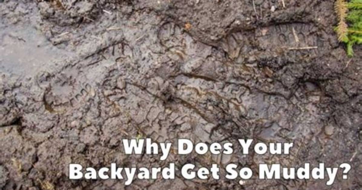 Does Dg Get Muddy?