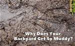 Does Dg Get Muddy?