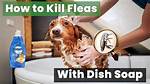 Does Dish Soap Kill Fleas