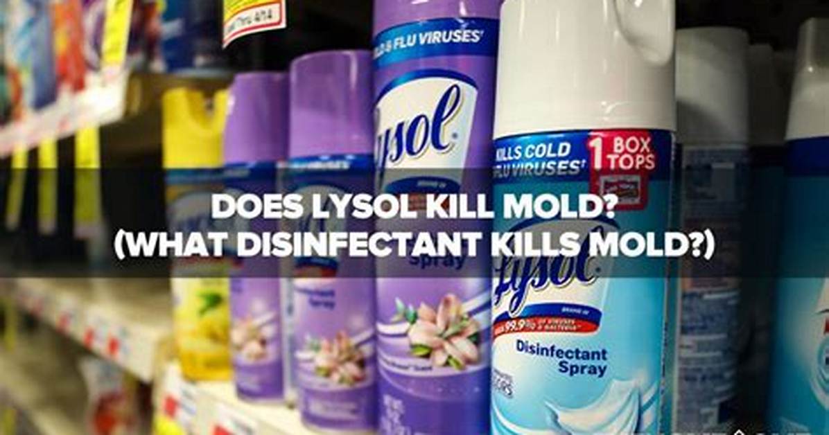 Does Disinfectant Kill Mold?