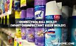Does Disinfectant Kill Mold?