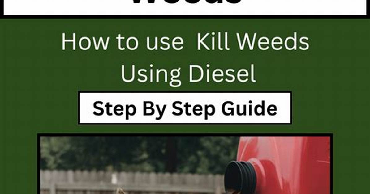 Does Disking Kill Weeds?