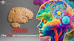 Does Dmt Release in the Brain?