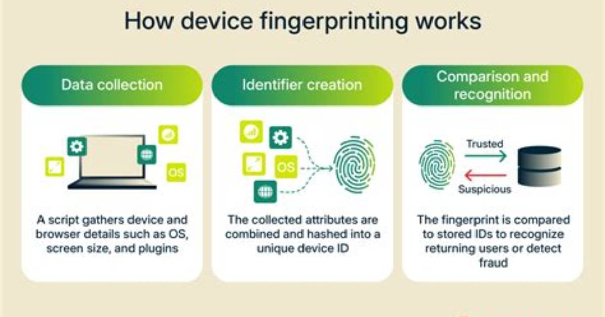 Does Dmv Do Fingerprinting