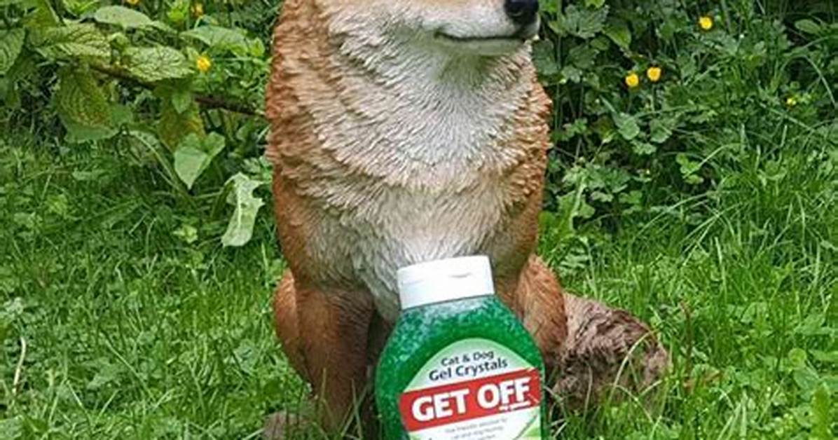 Does Dog Pee Deter Foxes?