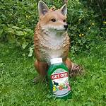 Does Dog Pee Deter Foxes?