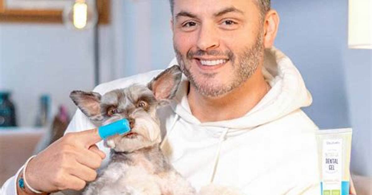 Does Dog Toothpaste Really Work?