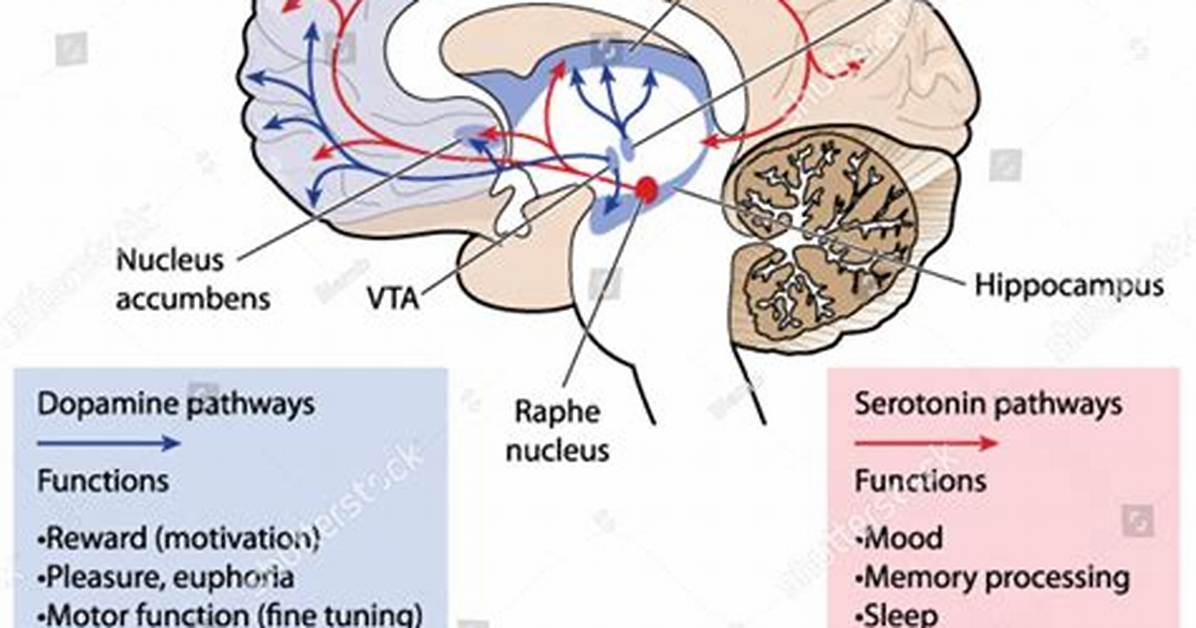 Does Dopamine Modulate Mood?