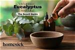 Does Dried Eucalyptus Smell?