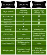Does Droncit Kill All Worms