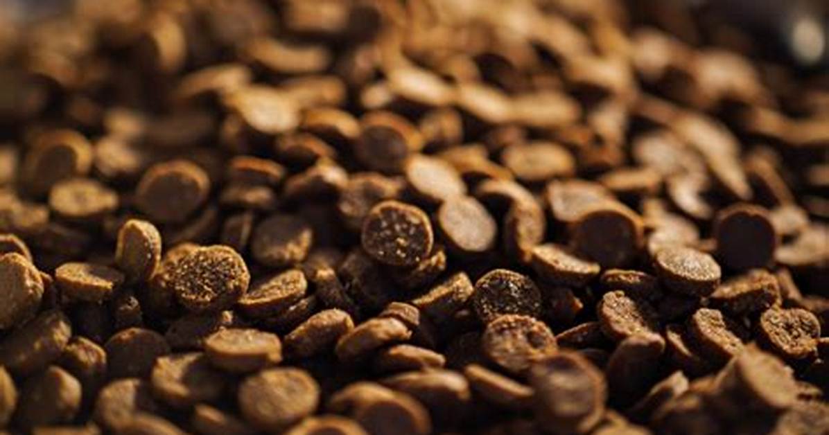 Does Dry Kibble Go Bad?