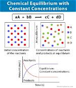 Does Dynamic Equilibrium Imply Equal Concentrations?