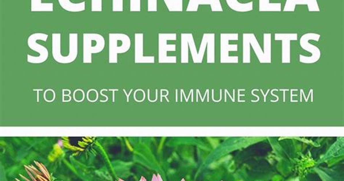 Does Echinacea Boost Immune System?