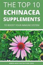 Does Echinacea Boost Immune System?