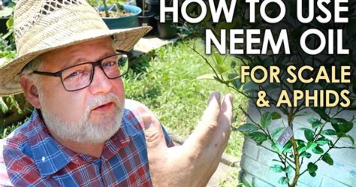 Does Eco Neem Kill Scale