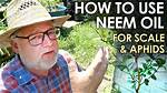 Does Eco Neem Kill Scale