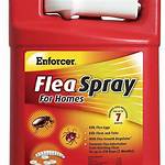 Does Ecoraider Kill Fleas