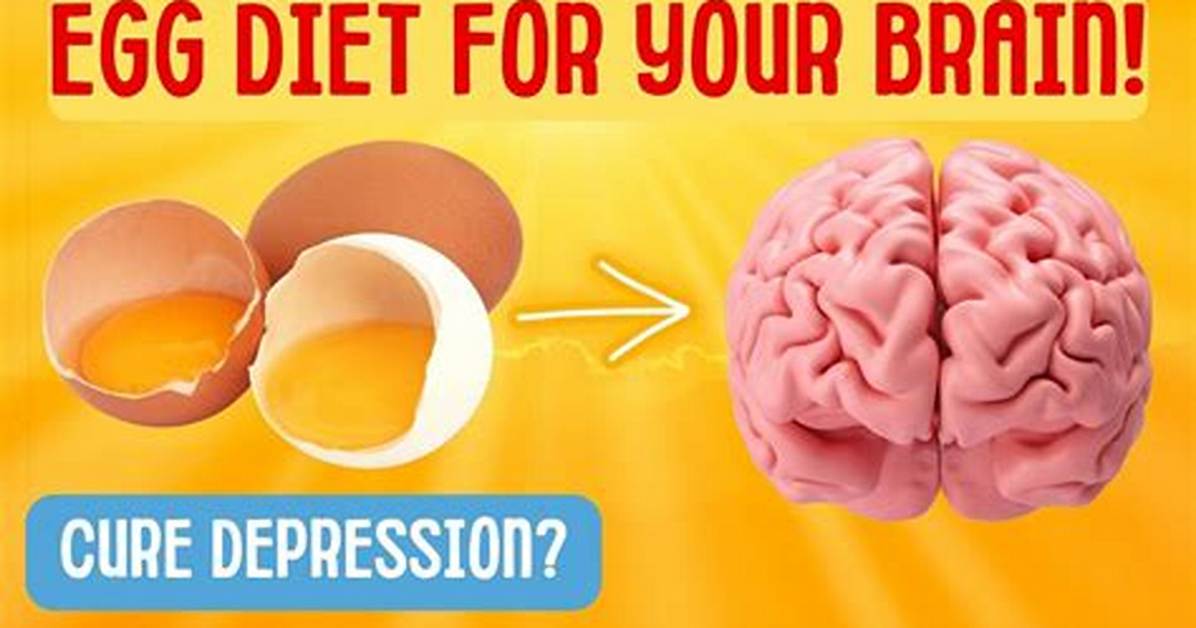 Does Egg Improve Brain